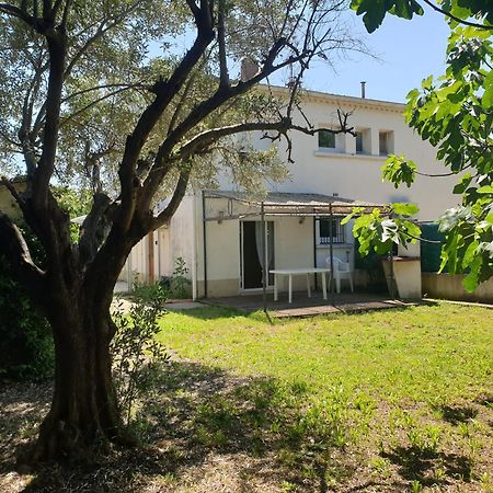 Orteils Au Soleil Jardin Parking Nimes Exterior foto